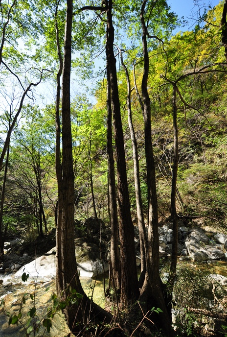 DSC_0205.jpg
