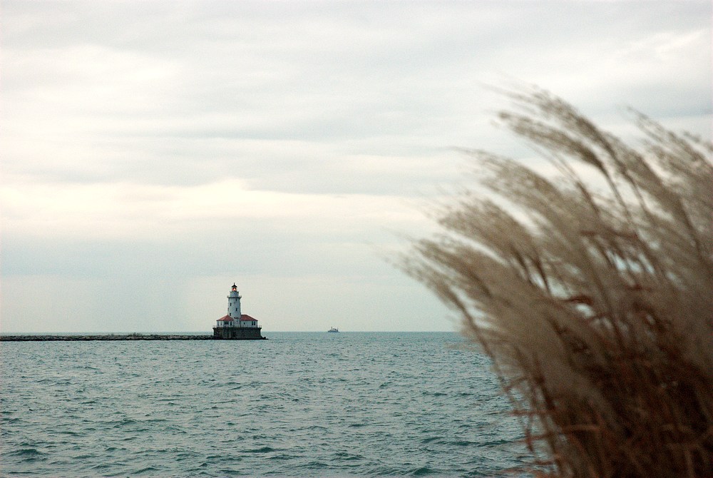 DSC_4885.jpg