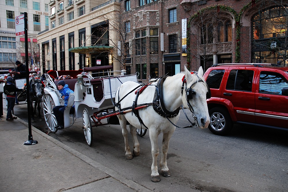 DSC_4699.jpg