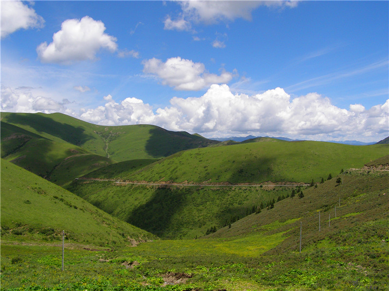 P1010862_副本.jpg