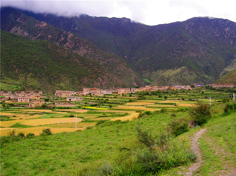 P1010925_conew1_副本.jpg
