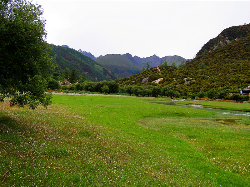 P1011128_conew1_副本.jpg