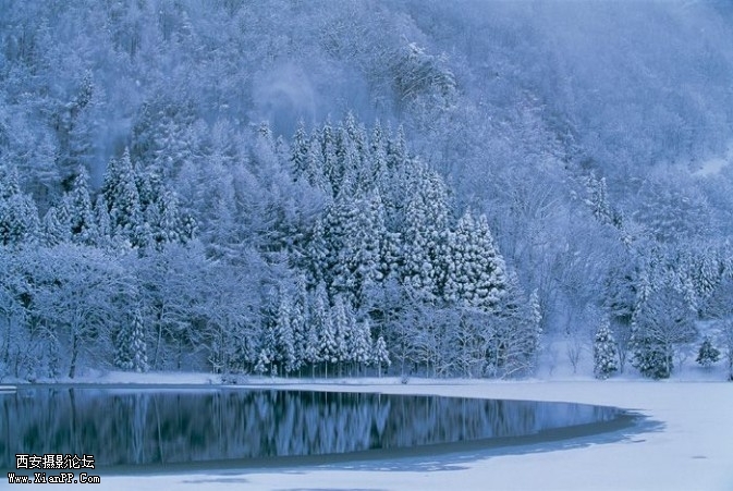 Zsnow2-673x451.jpg