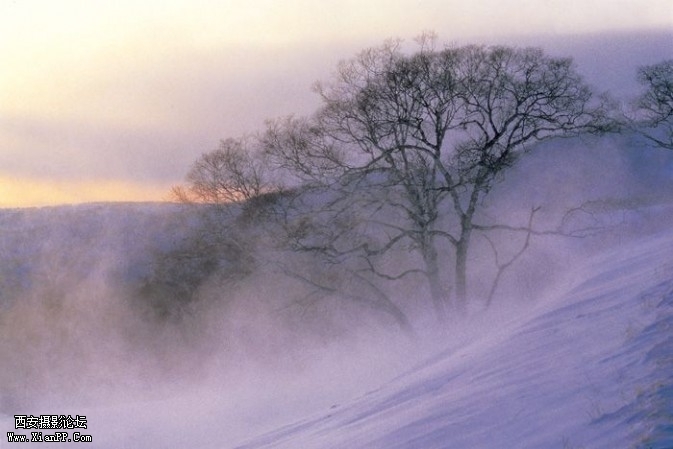 Zsnow3-673x449.jpg