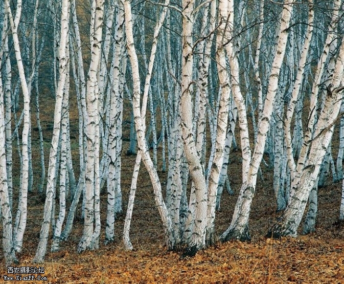 light3-673x555.jpg