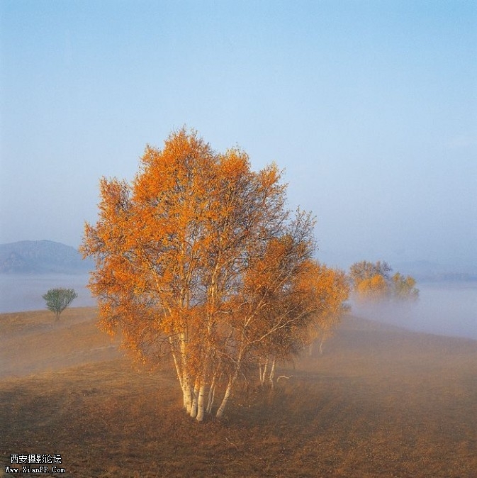 light8-673x674.jpg