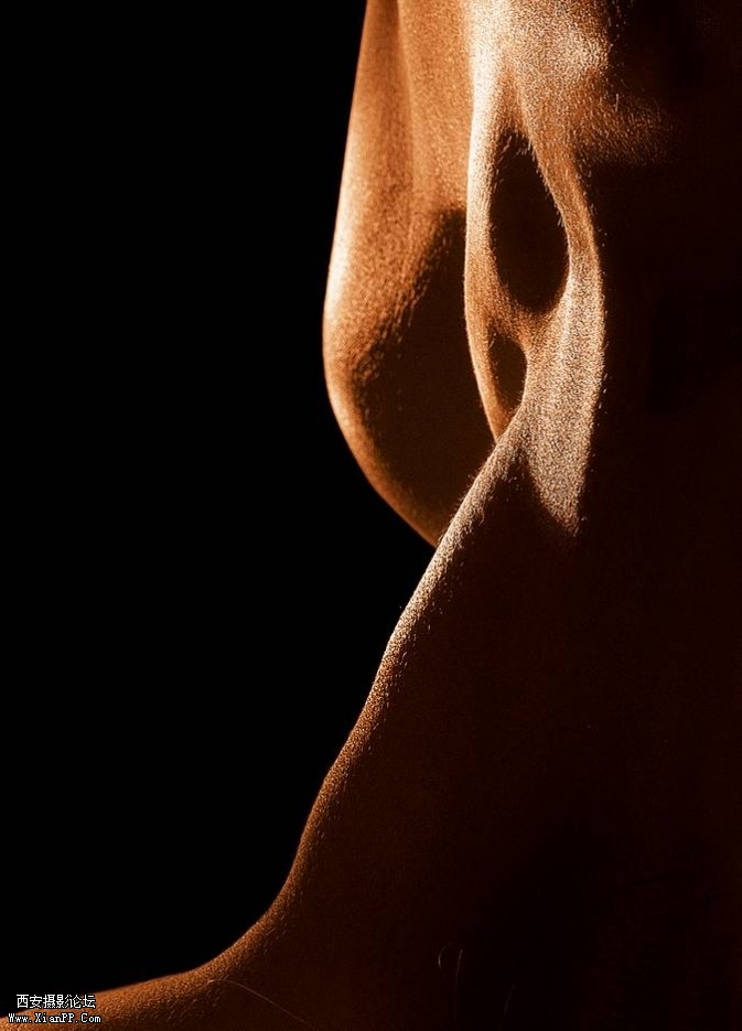 body2-673x935.jpg