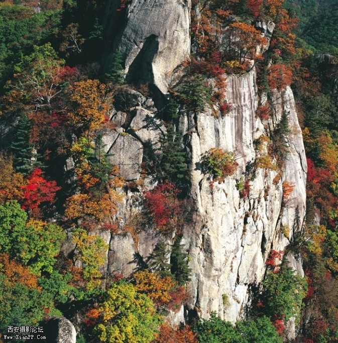line7-673x683.jpg
