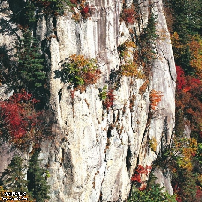line9-673x675.jpg