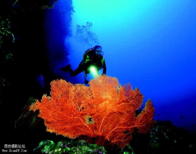 ocean04-673x529.jpg