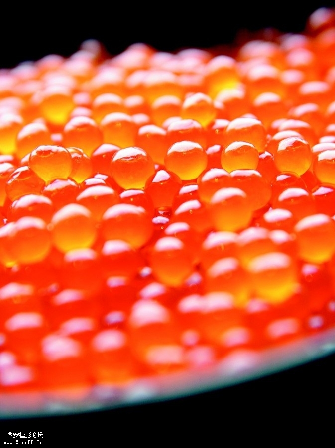 FOOD24-673x901.jpg