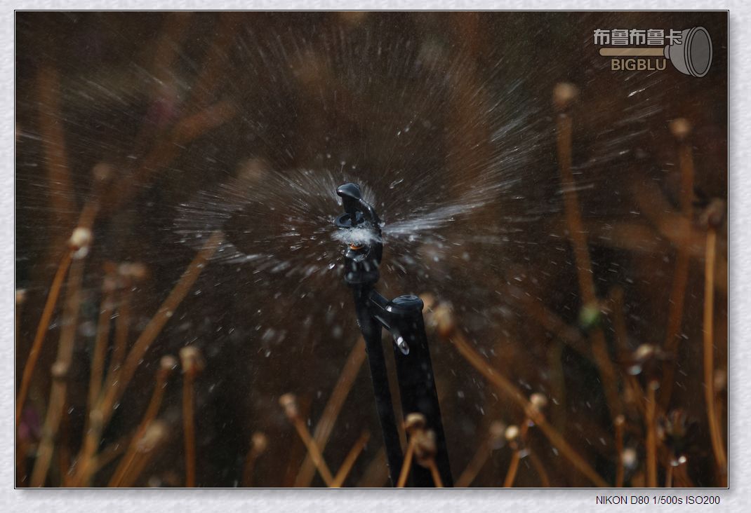 光雨