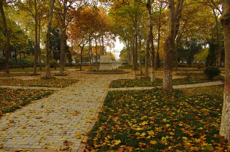 IMGP3463.jpg