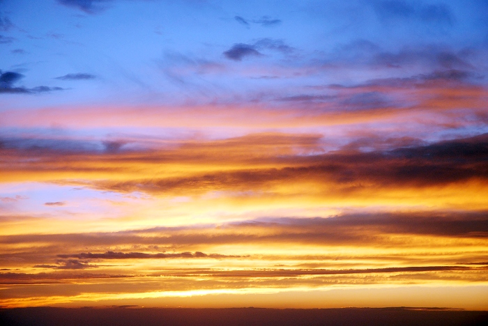 DSC_4628.jpg