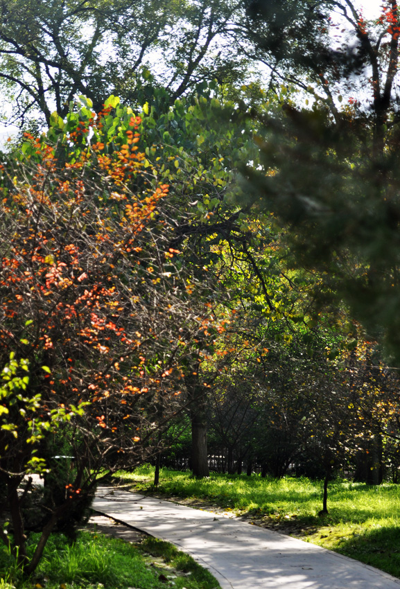 DSC_0059.jpg