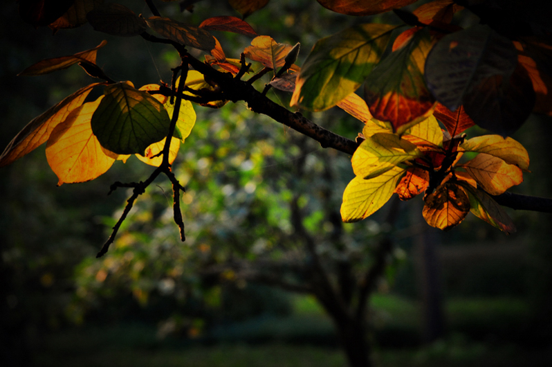 DSC_0571.JPG
