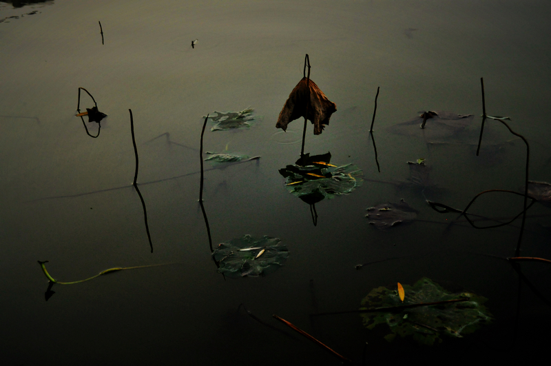 DSC_0658.JPG