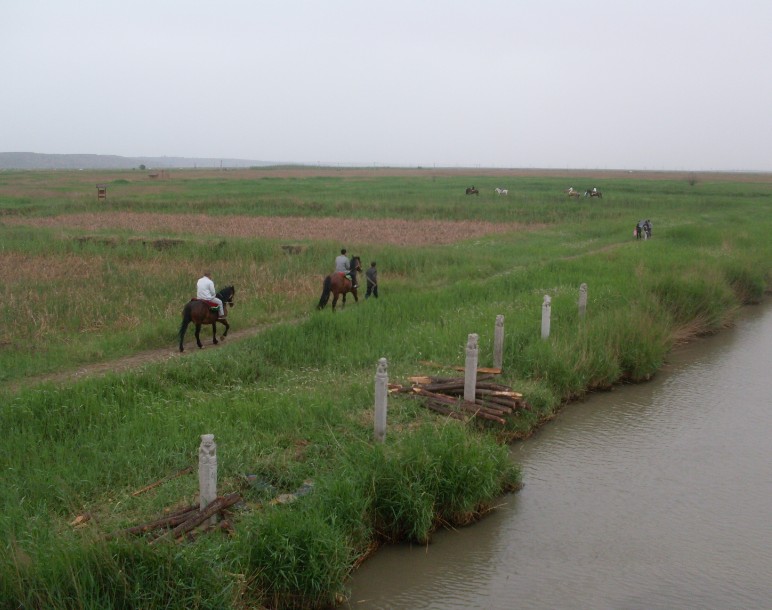 SDC10609.JPG