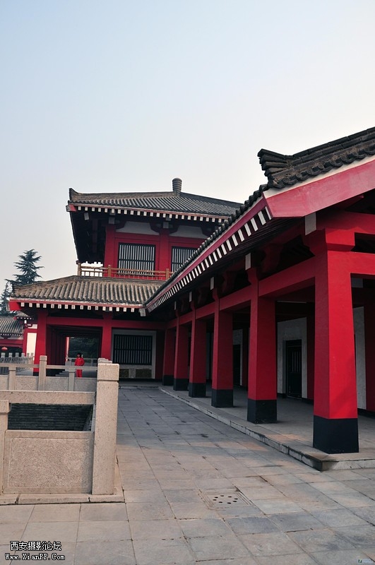 13548235_0800.jpg