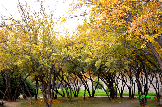 DSC_1031.jpg