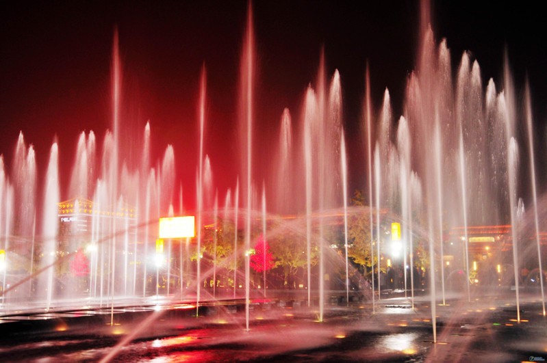 13630417_0800.jpg