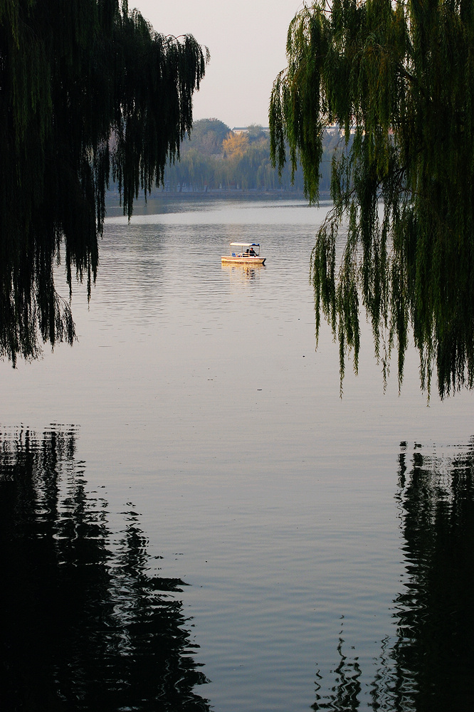DSC_3825.jpg