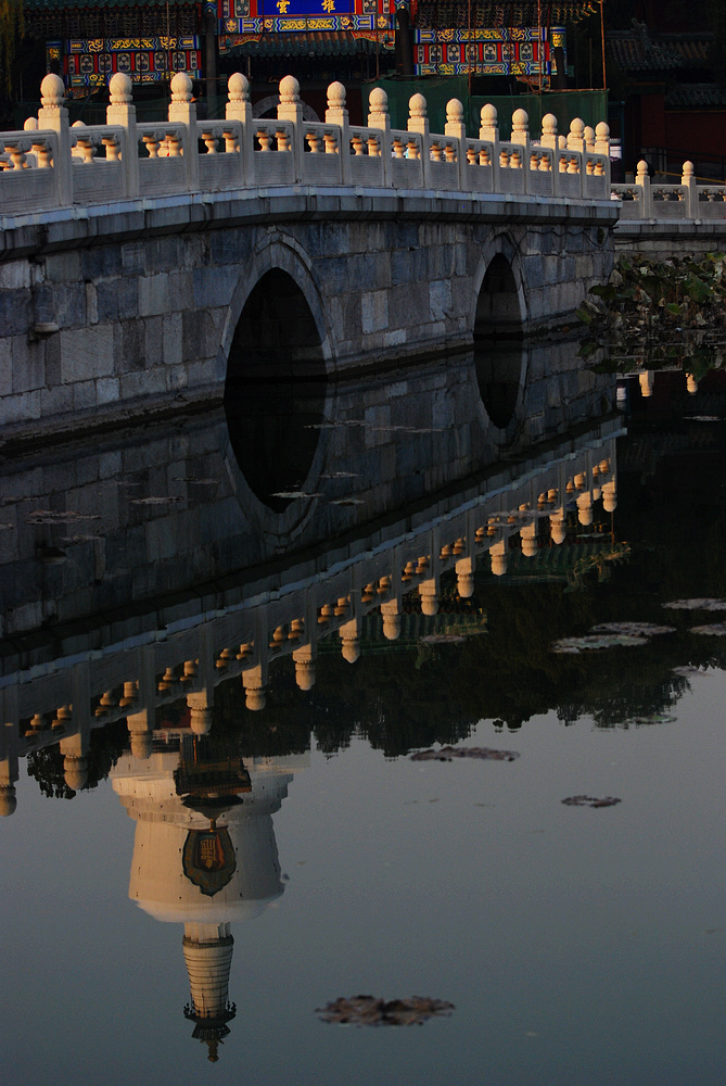 DSC_3853.jpg