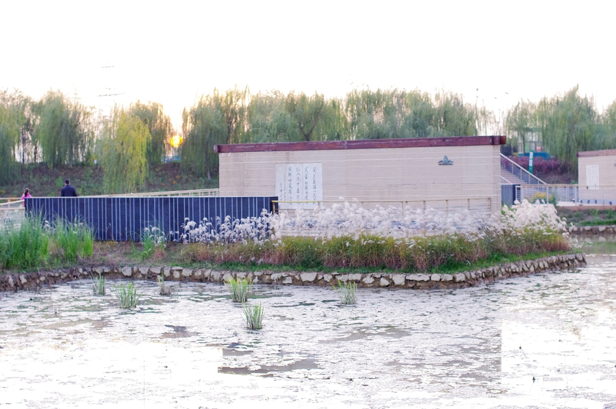 IMGP4342.JPG