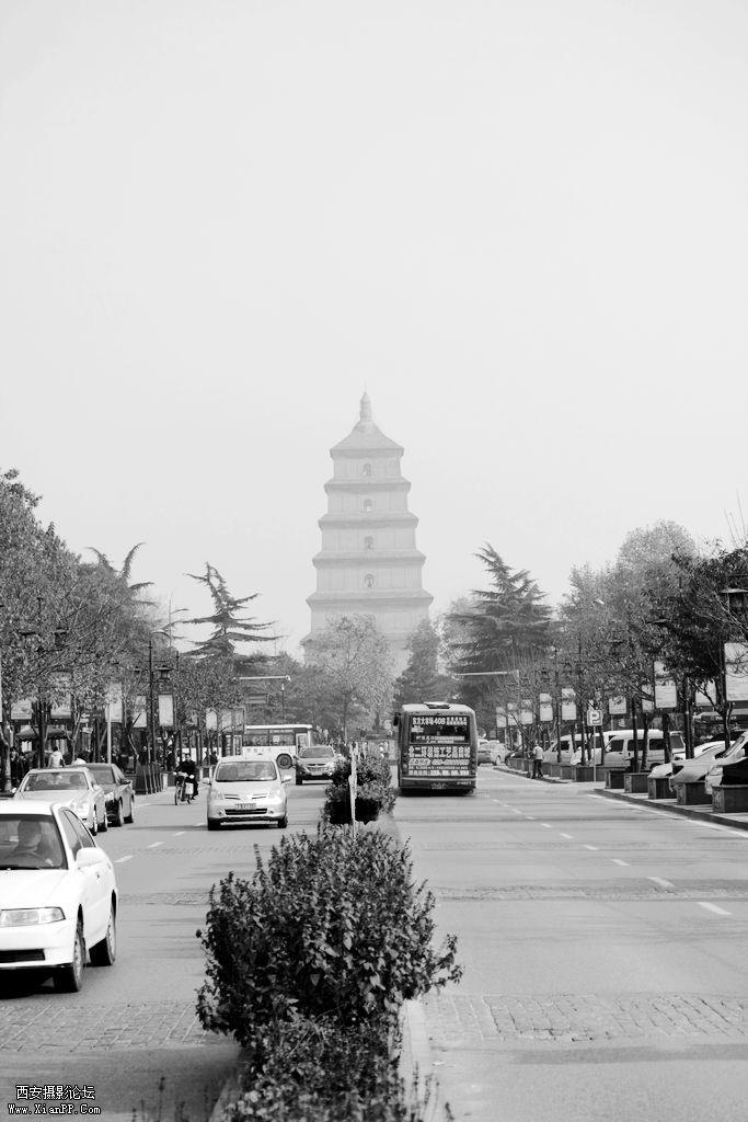 DPP_112016.JPG
