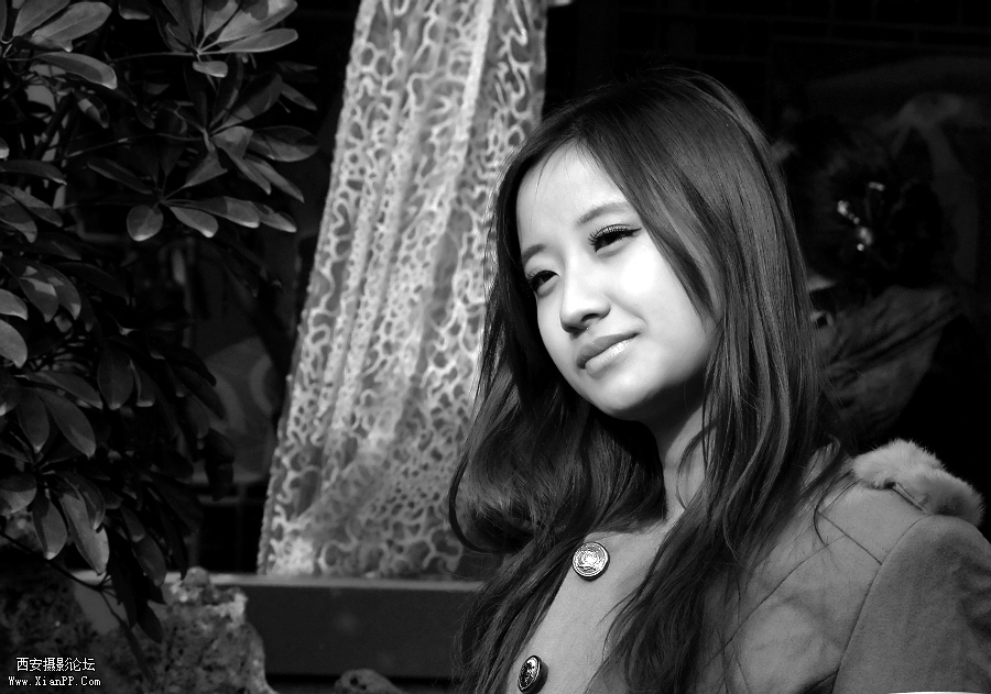 DSCF3790a.jpg