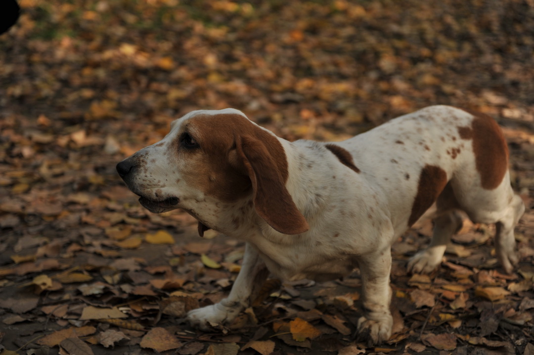 DSC_3048_调整大小.JPG