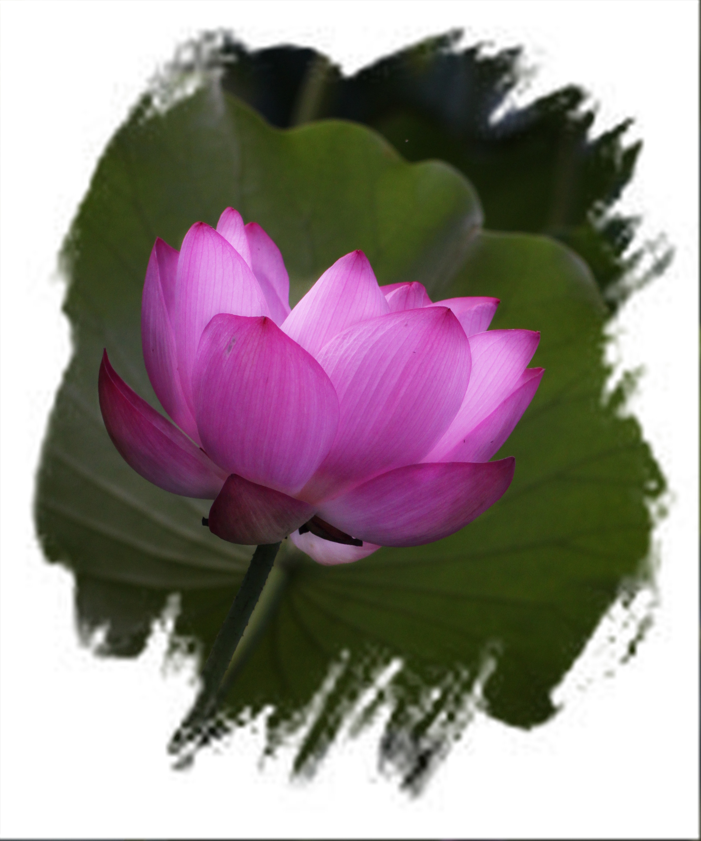 XIAHE7.2 012_副本.jpg