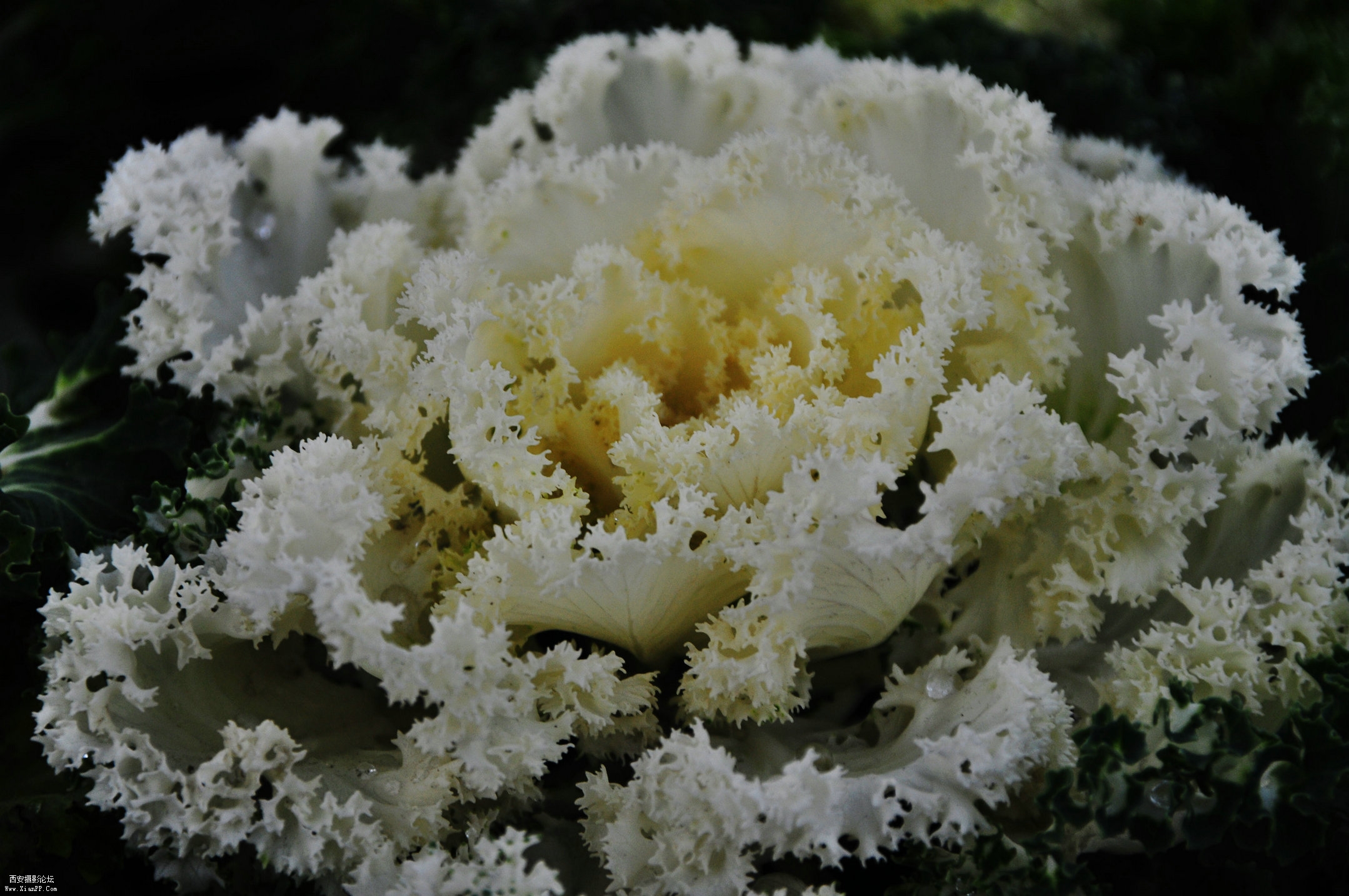 DSC_3832.JPG