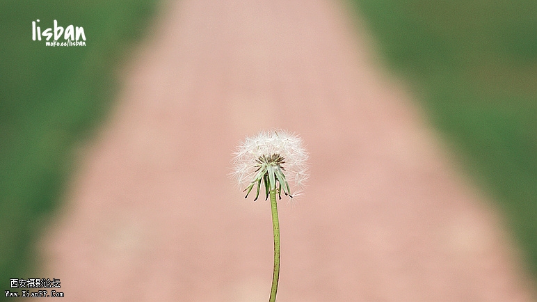 img1_src_4584813.jpg