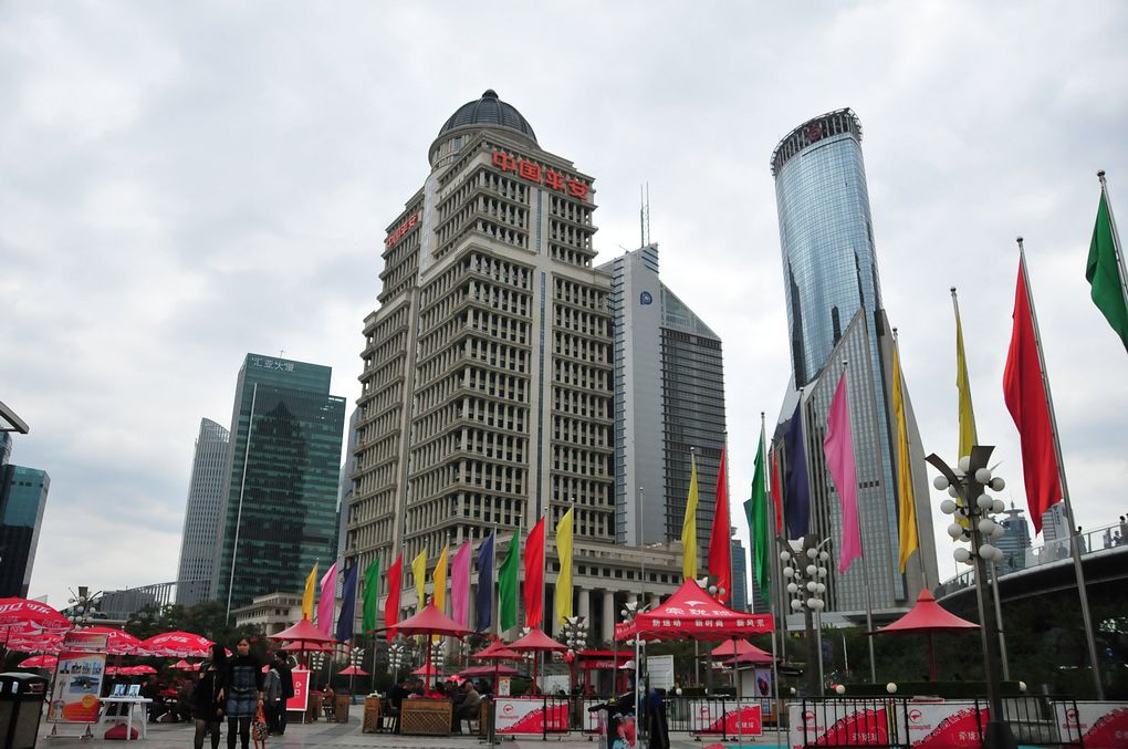 DSC_4393.jpg