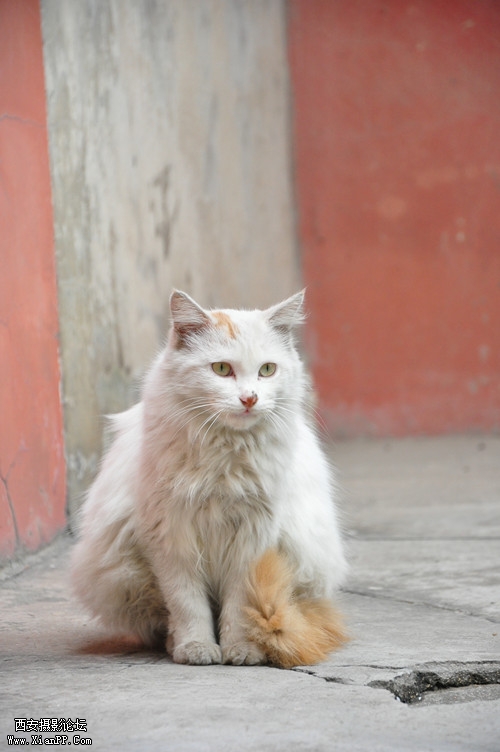 dsc_0025_副本.jpg