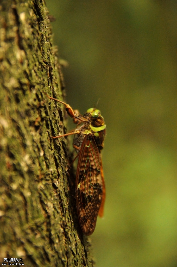 DSC_0404a.jpg