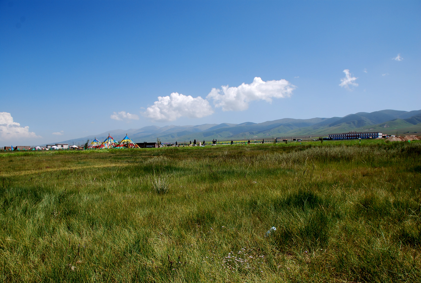 DSC_0527.jpg