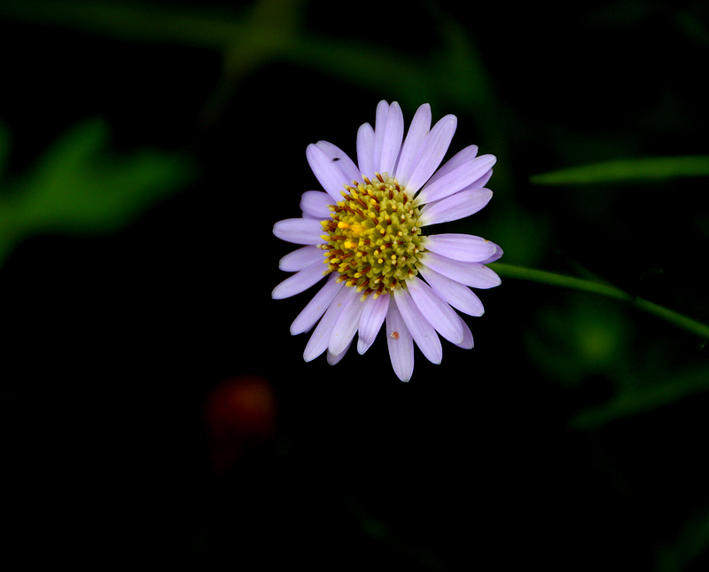 20111008_2abc3789dfc41c4c7506EowD2DXpSb2N.jpg