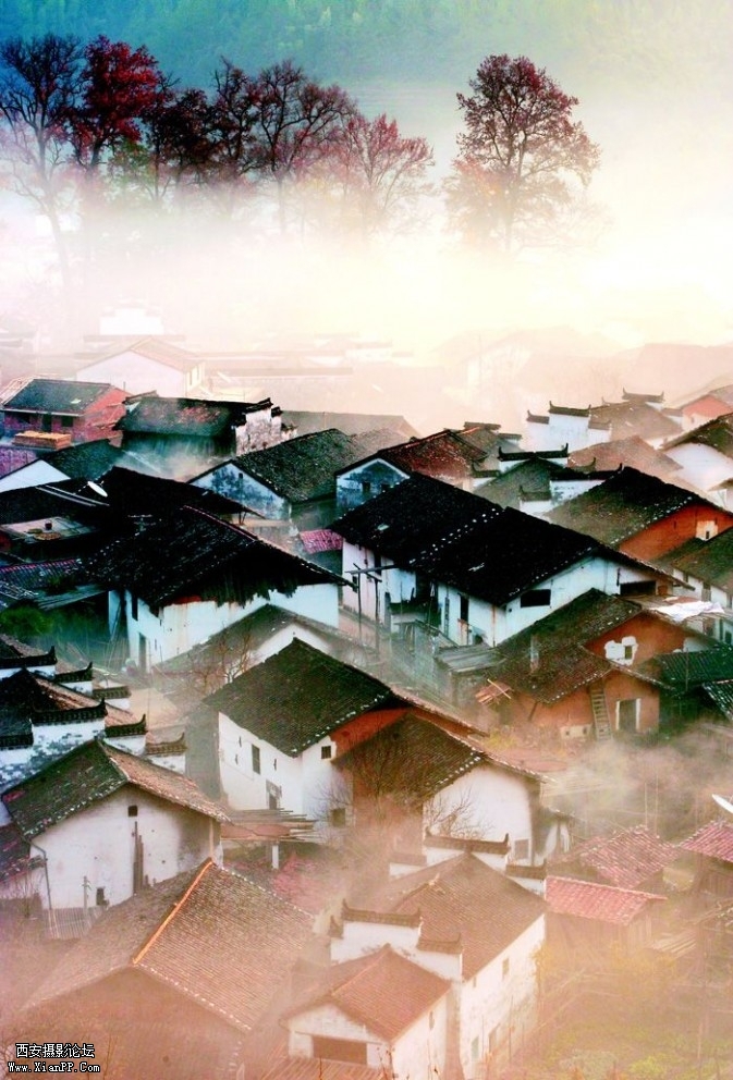 guanp02-673x992.jpg