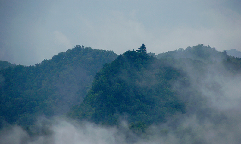 DSC05776A.jpg