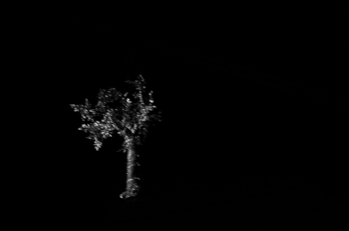 DSC_7387.jpg