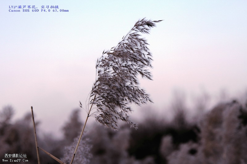 IMG_0103_调整大小.JPG