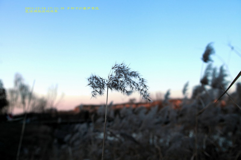 12107559_调整大小.JPG