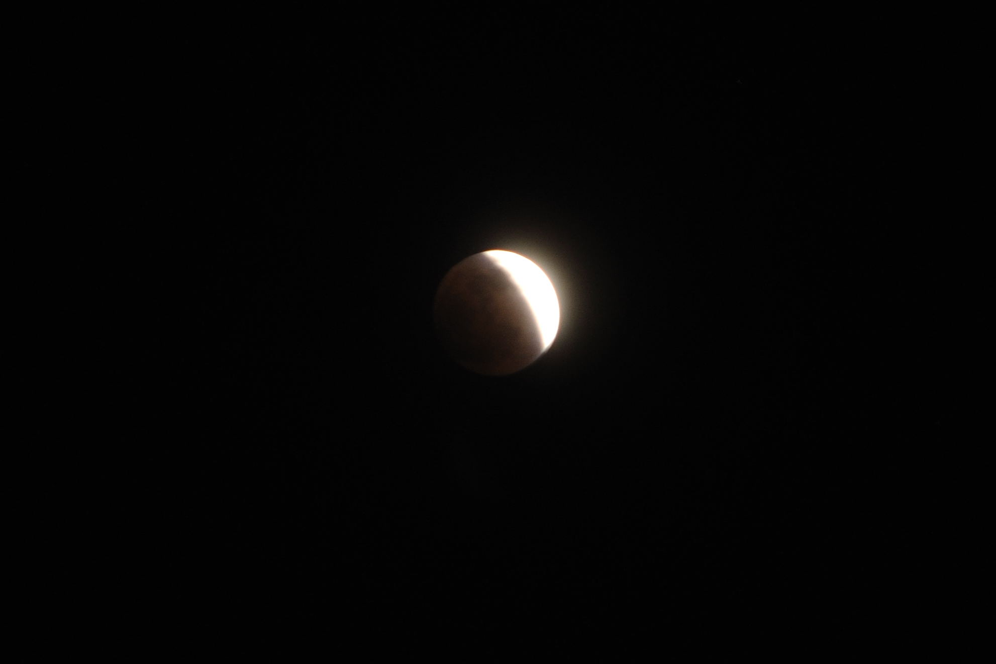 DSC_0365.jpg