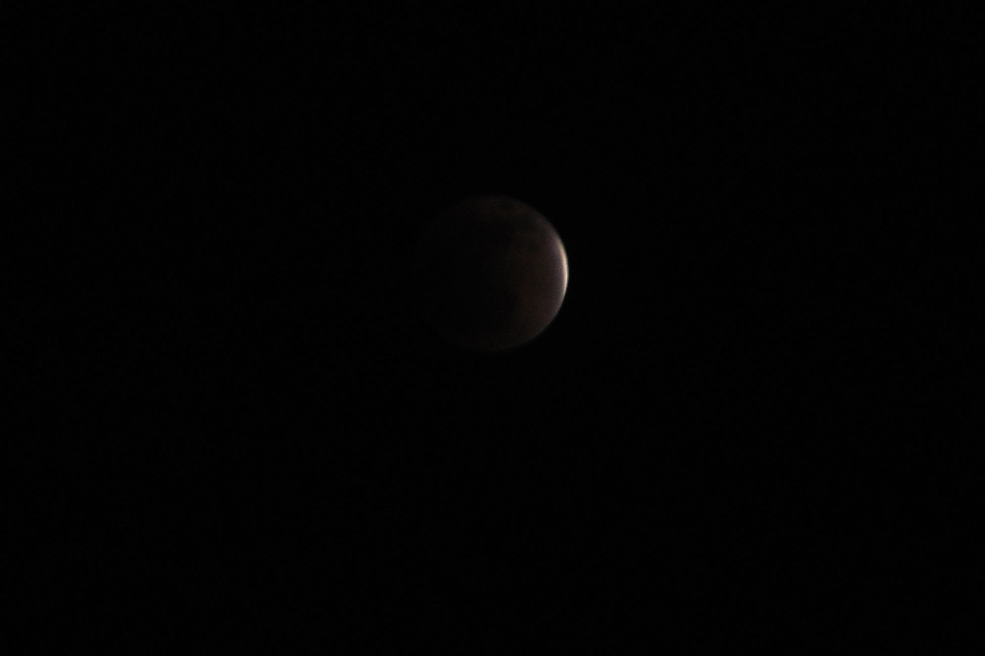 DSC_0385.jpg