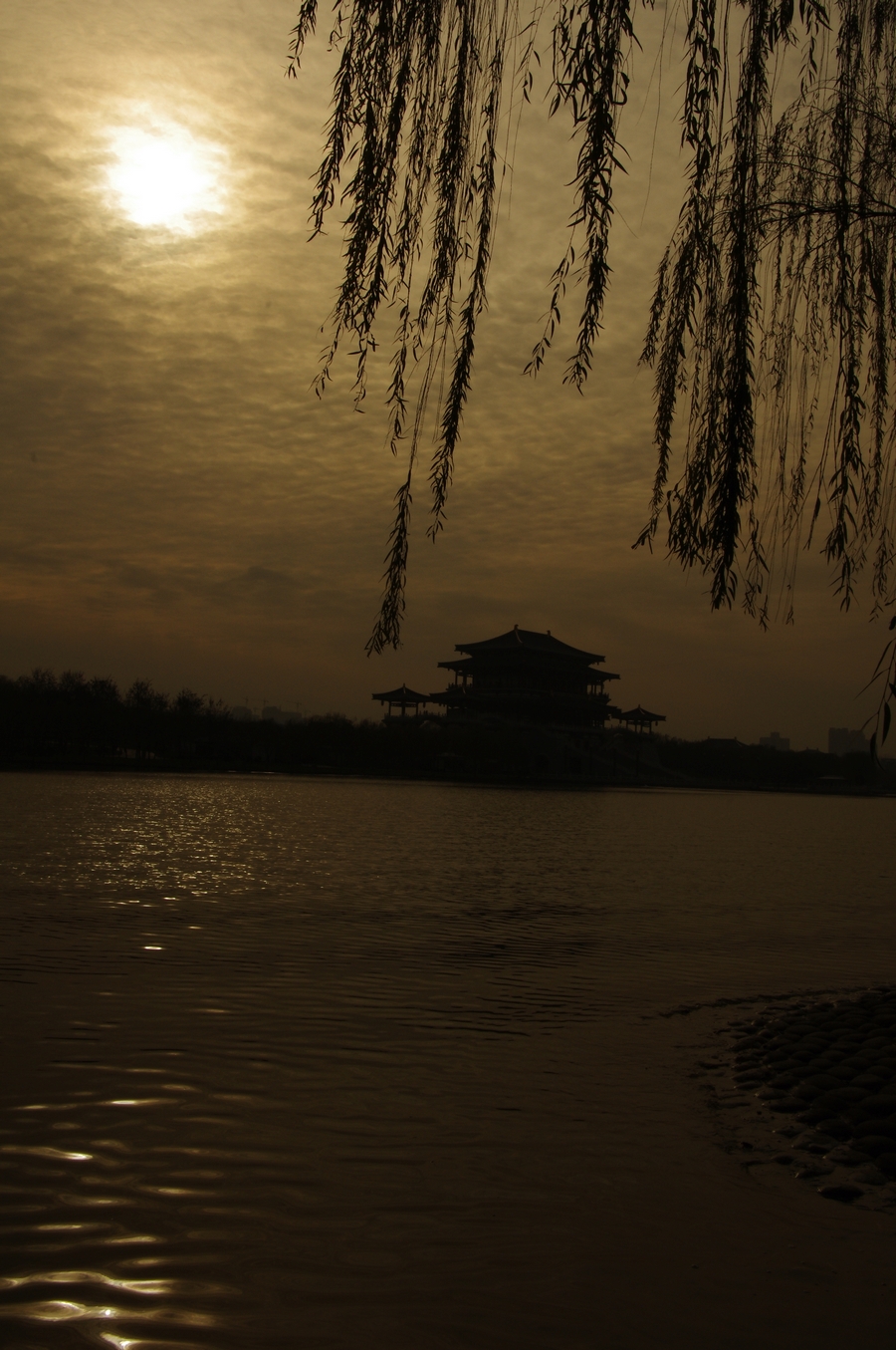 IMGP5396.JPG