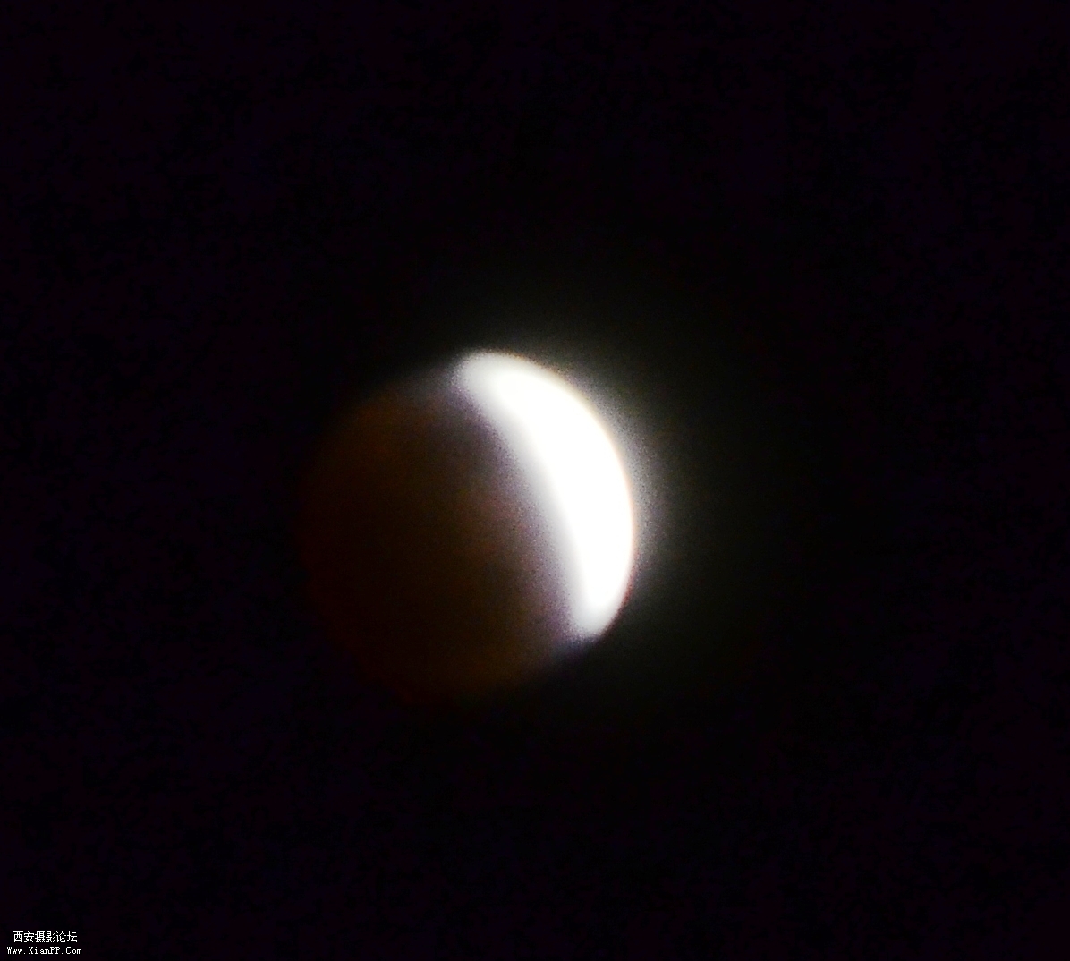 DSC_0508.JPG