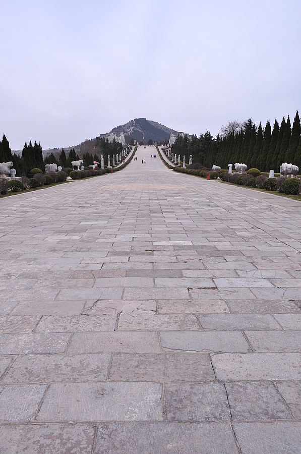 DSC_5643.jpg