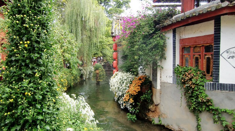 _IMG0323_conew1.jpg
